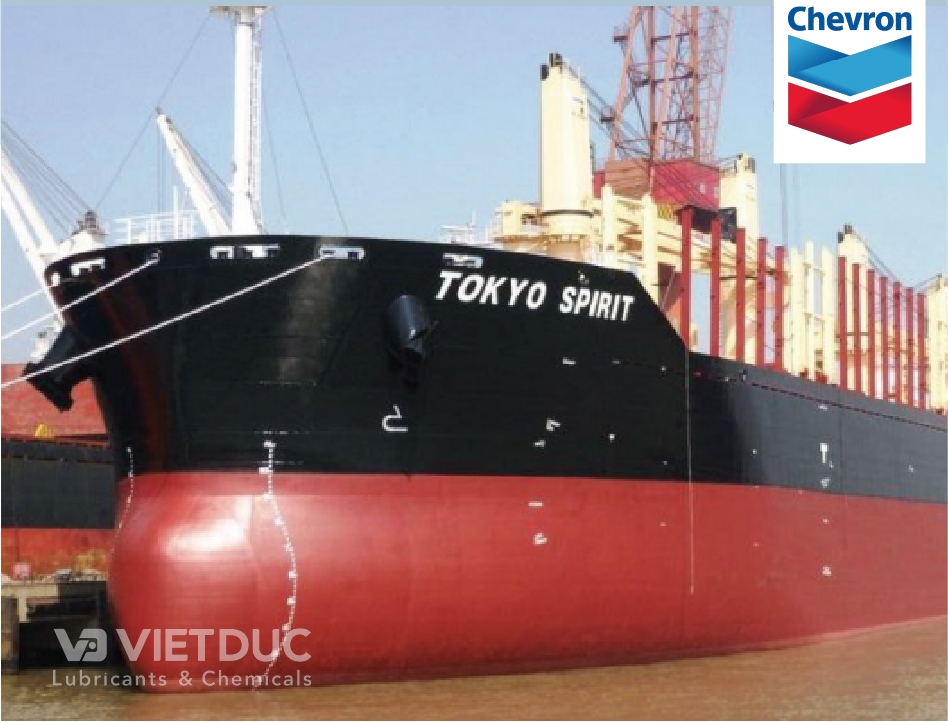 những case study thành công của Chevron - phần 2: Đánh giá hàng năm của FAST và DOT.FAST nêu bật các khoản tiết kiệm ẩn